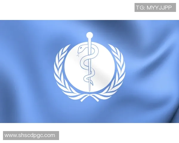 泽卡病毒的传播与防控策略研究及其对公共卫生的影响分析