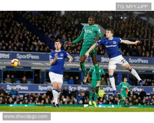 2017年莱斯特城对阵西布朗的精彩对决回顾与分析