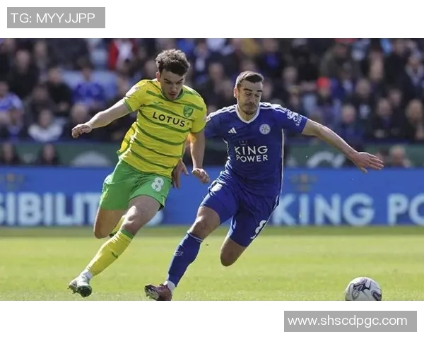 2019年诺维奇对阵谢菲尔德精彩回顾与赛后分析