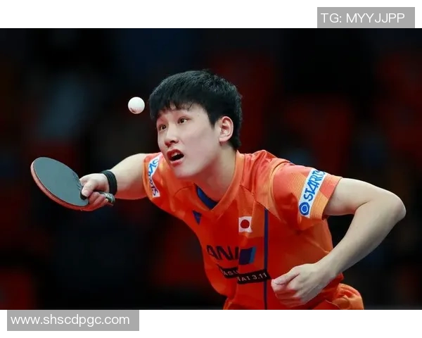 波尔与张本智和精彩对决视频回顾乒乓球巅峰对决不容错过