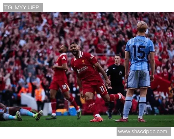 布莱顿与南岸普敦的激烈对决揭示英超新赛季的竞争格局与球队实力对比