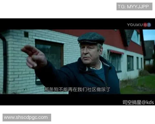 瑞典与韩国在优酷平台的精彩对决分析与赛事回顾