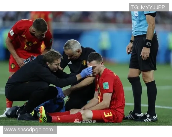 新浪体育智力对抗俄罗斯强强联手展现体育魅力与智慧较量