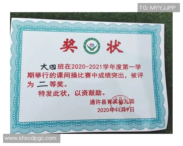 雅雄杯足球比赛精彩视频直播全程回顾与精彩瞬间分享