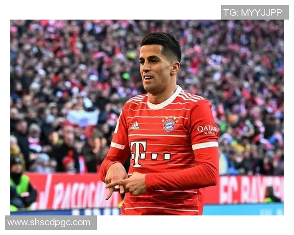 坎塞洛的足球之路：从天才少年到世界级后卫的辉煌历程